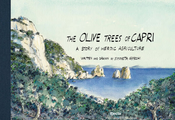 The Olive Trees of Capri