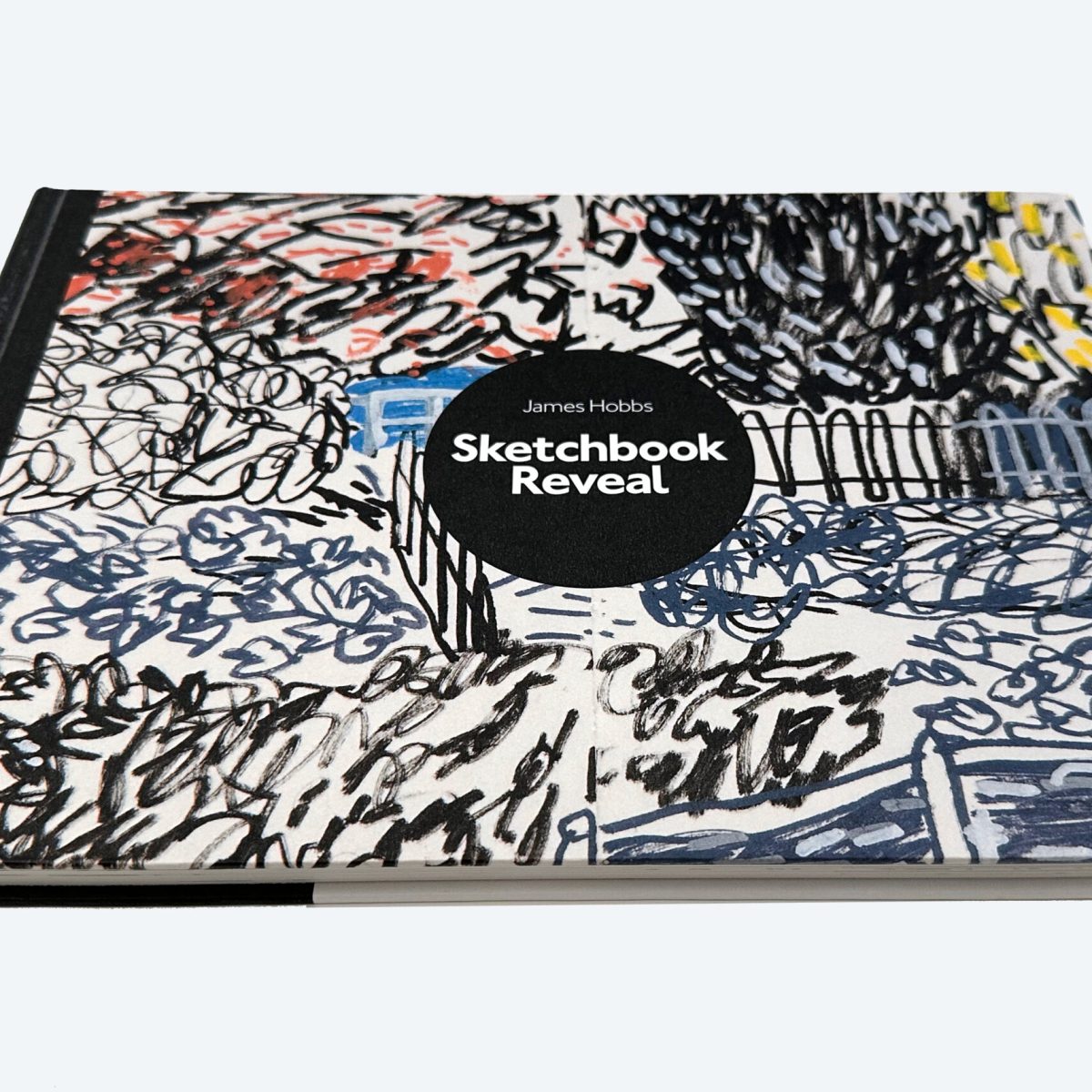 srev front cover book